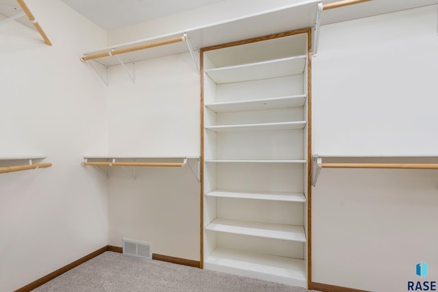 spacious closet with carpet floors