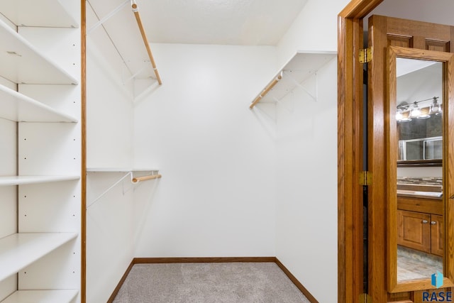 walk in closet featuring carpet