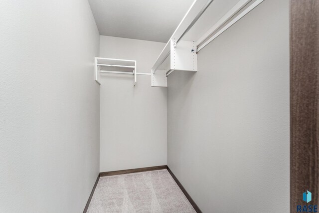 walk in closet with light carpet