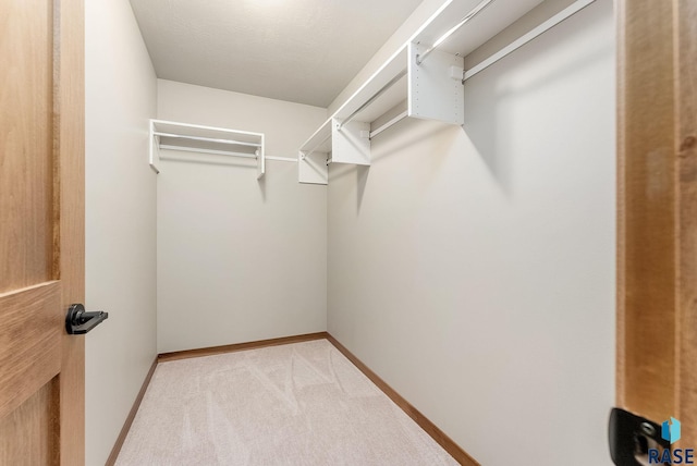 walk in closet with light carpet