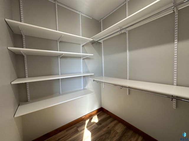 spacious closet featuring dark hardwood / wood-style flooring