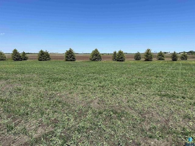 view of yard with a rural view