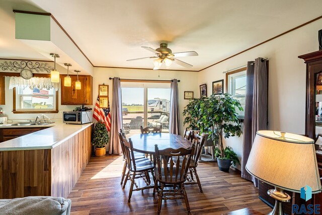 dining space with ceiling fan, sink, and dark wood-type flooring