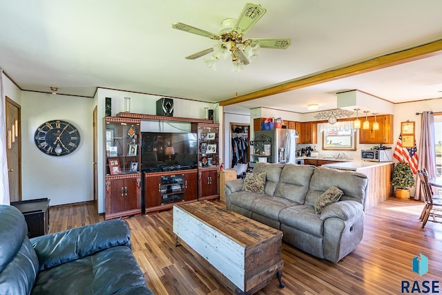 living room featuring ceiling fan, beam ceiling, ornamental molding, and dark wood-type flooring