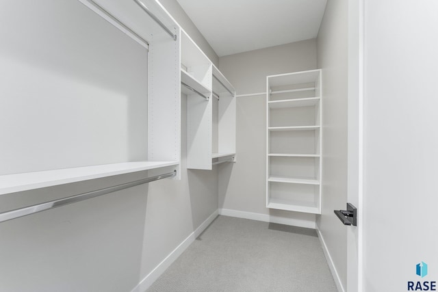 spacious closet featuring light carpet