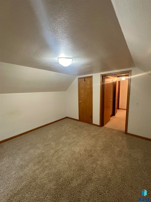 additional living space featuring a textured ceiling, carpet floors, and lofted ceiling