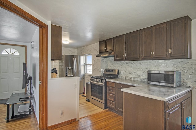 kitchen featuring light wood-type flooring, dark brown cabinetry, stainless steel appliances, and tasteful backsplash