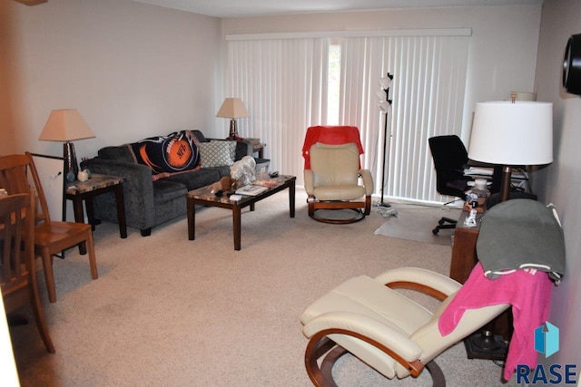 living room with carpet floors