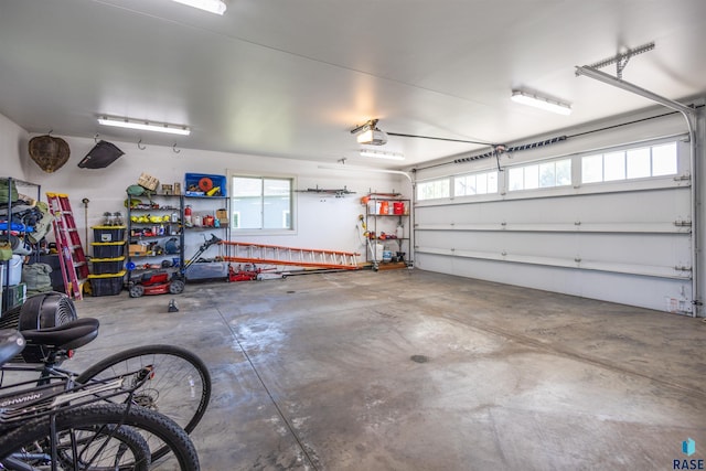 garage with a garage door opener