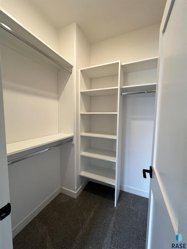 spacious closet featuring dark carpet