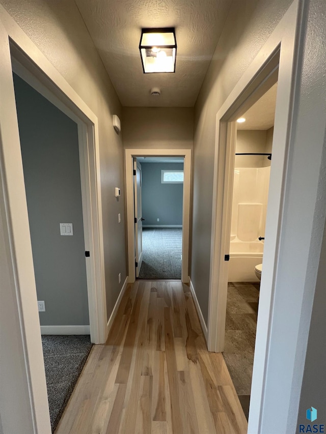 corridor featuring light hardwood / wood-style flooring and a textured ceiling