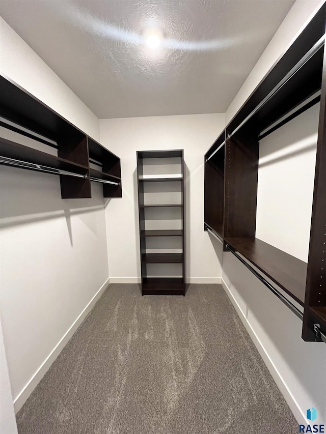 spacious closet featuring dark colored carpet