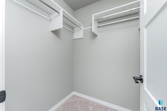 spacious closet featuring light colored carpet