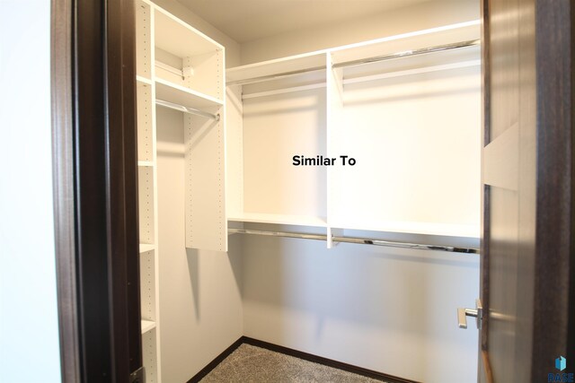 unfurnished bedroom with a spacious closet, a closet, and light colored carpet