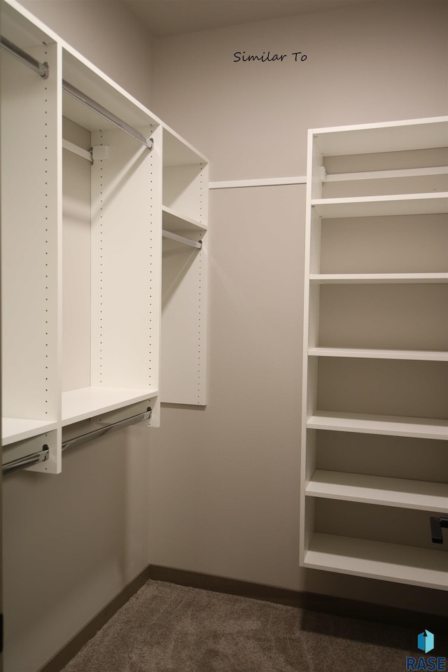 walk in closet with dark colored carpet