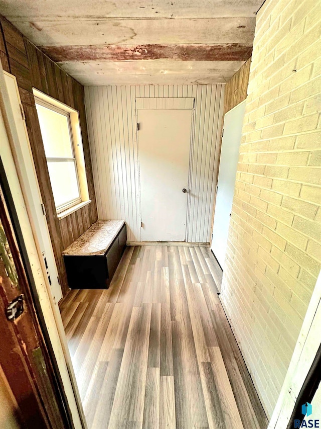 interior space featuring hardwood / wood-style flooring and wooden walls