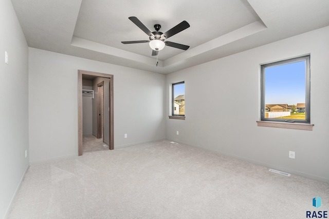 bedroom with a spacious closet, multiple windows, and a tray ceiling