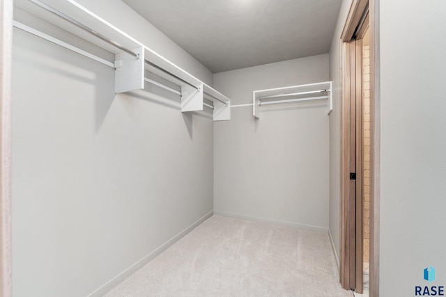 spacious closet featuring light carpet