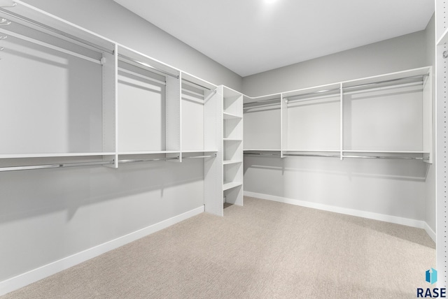 spacious closet with carpet flooring