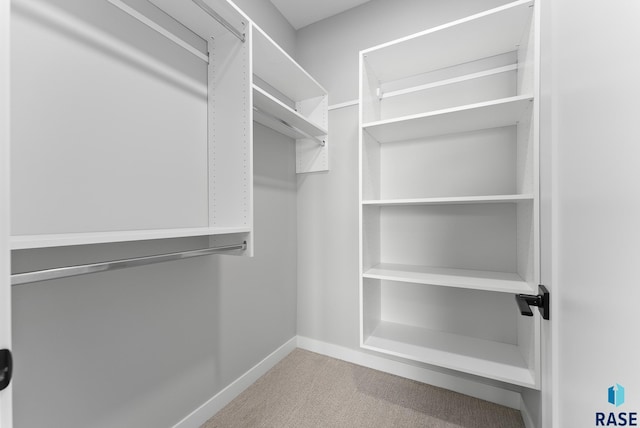 walk in closet with carpet flooring