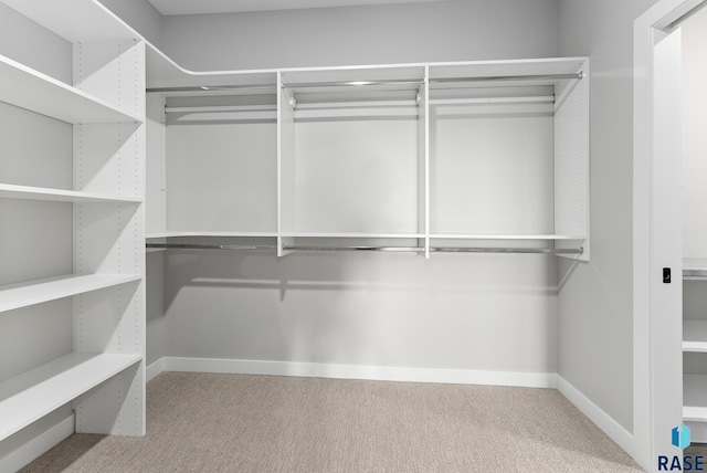 spacious closet featuring carpet floors