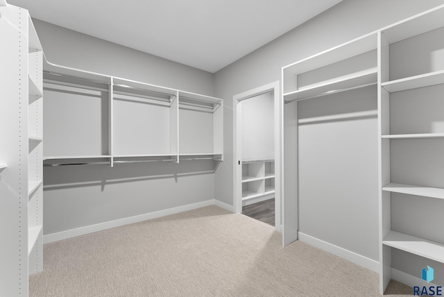 walk in closet featuring carpet