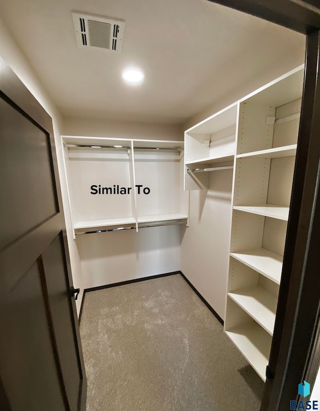 walk in closet with light colored carpet