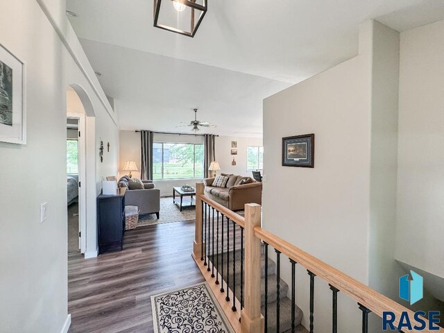 corridor featuring dark hardwood / wood-style flooring