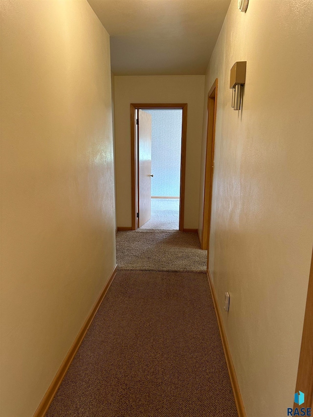 corridor featuring carpet floors