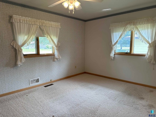 carpeted spare room with ceiling fan and crown molding