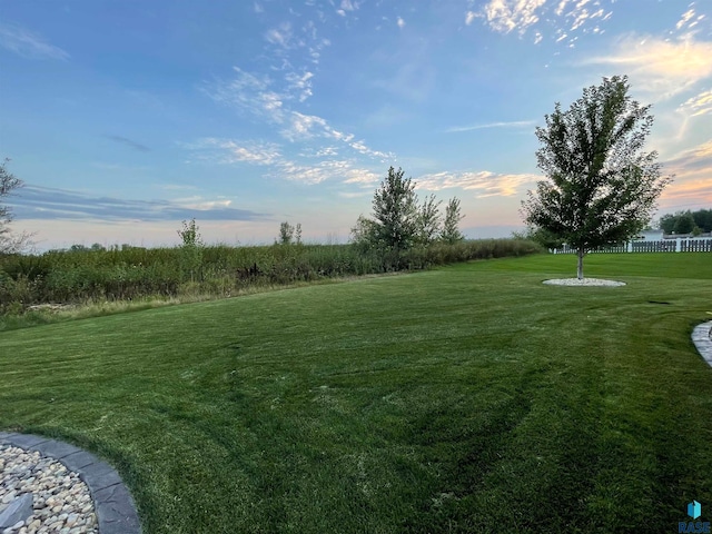 view of yard at dusk