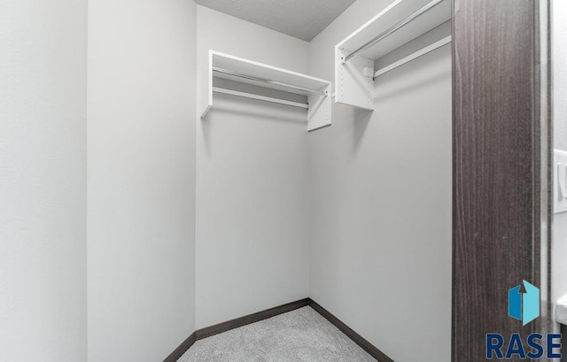 walk in closet featuring carpet floors