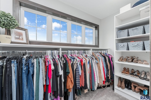 walk in closet featuring carpet