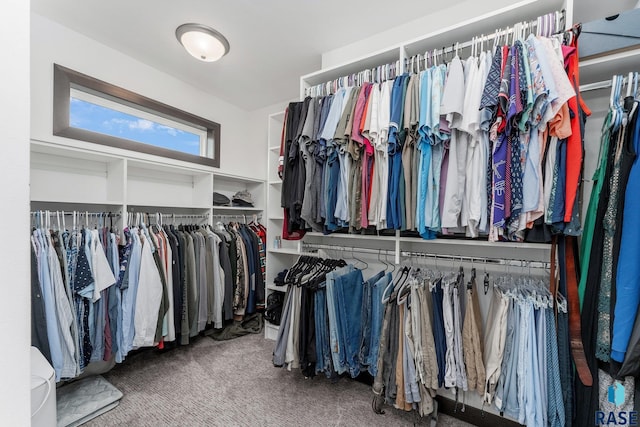 spacious closet with carpet flooring