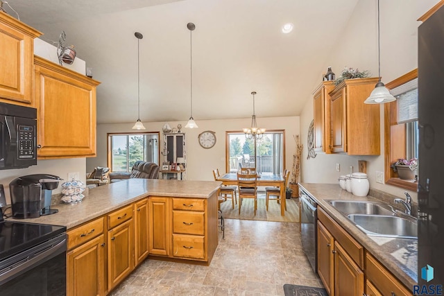 kitchen with hanging light fixtures, dishwasher, light hardwood / wood-style floors, sink, and electric stove