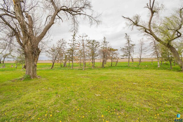 view of yard featuring a rural view