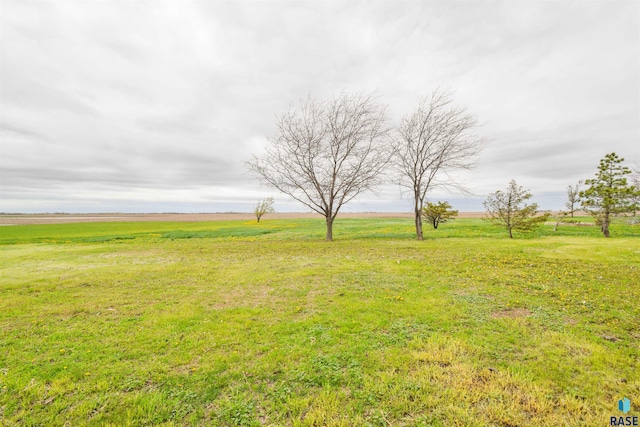 view of yard featuring a rural view