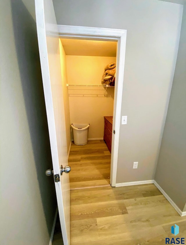 walk in closet with hardwood / wood-style floors