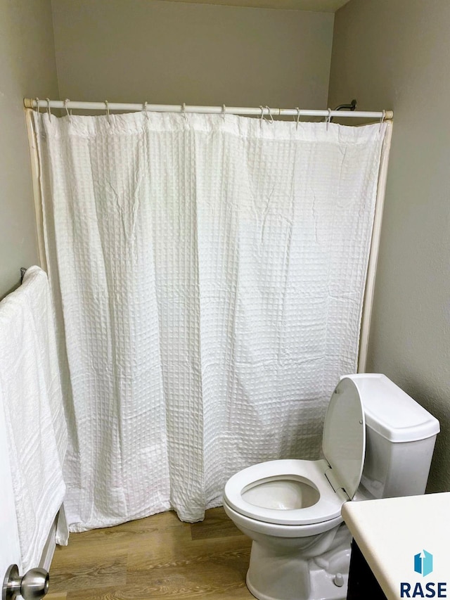 bathroom with vanity, hardwood / wood-style flooring, and toilet