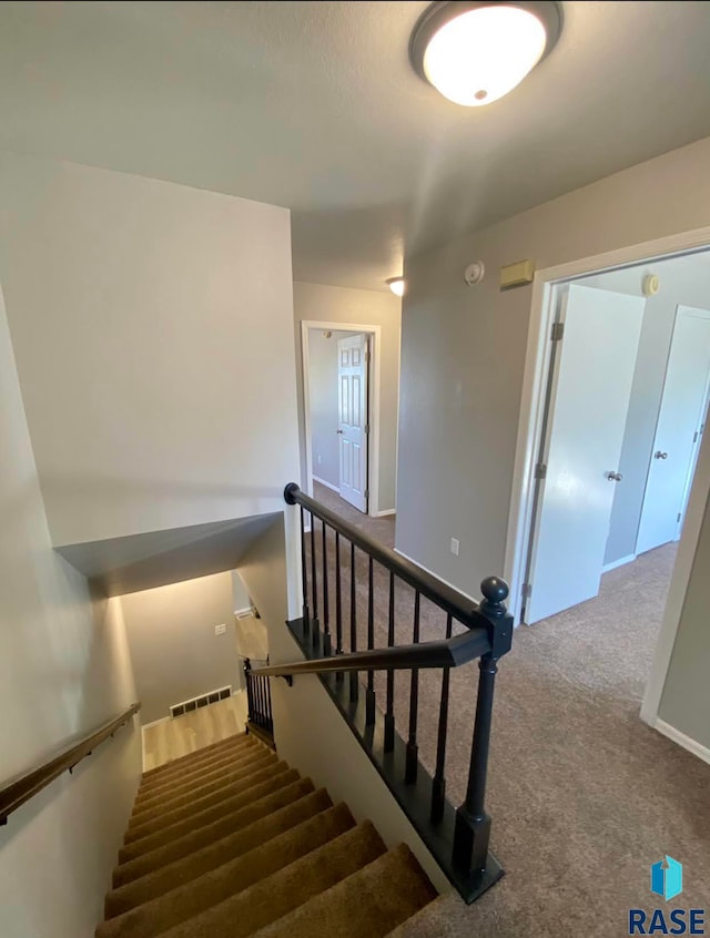 staircase with carpet flooring