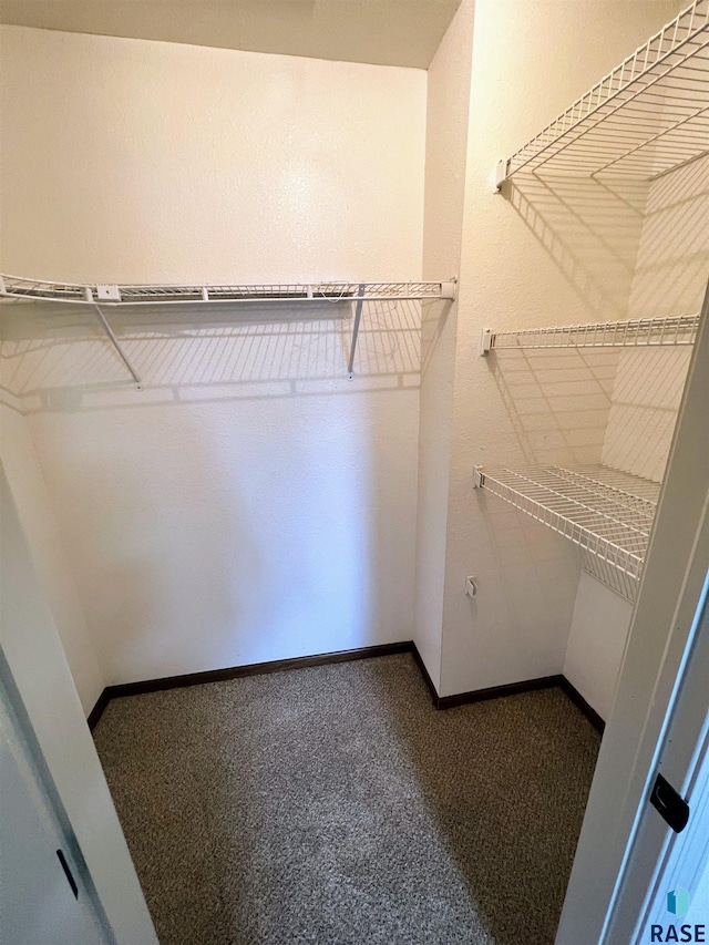 spacious closet with carpet flooring