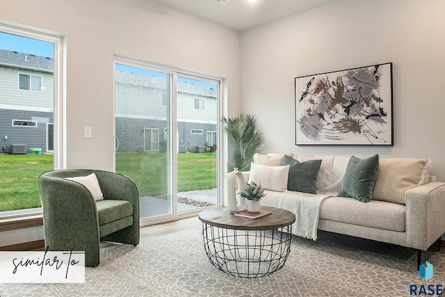 living room with wood-type flooring