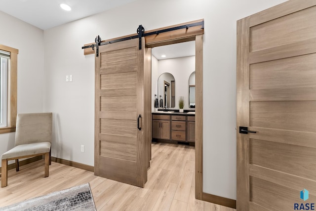 interior space featuring wood-type flooring and vanity