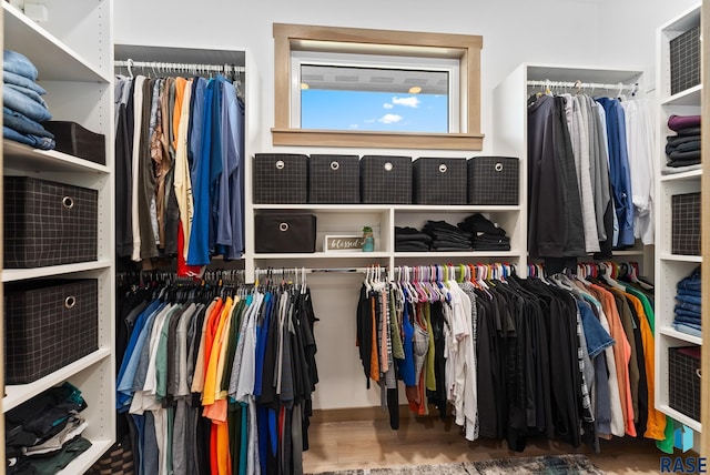 walk in closet with dark wood-type flooring