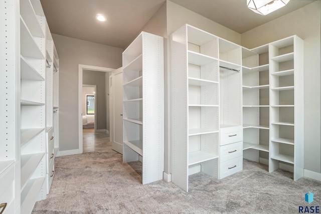 walk in closet featuring light colored carpet