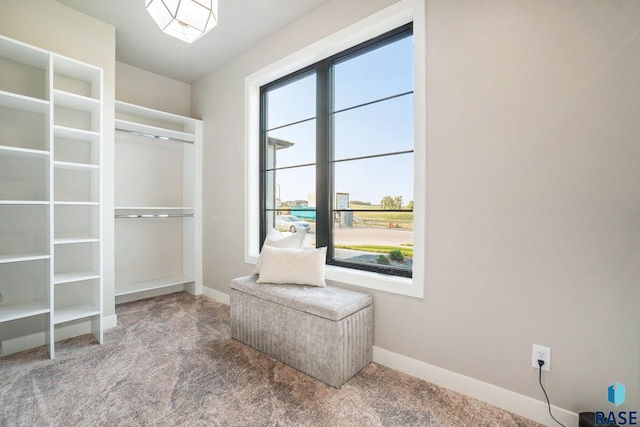 spacious closet with carpet flooring