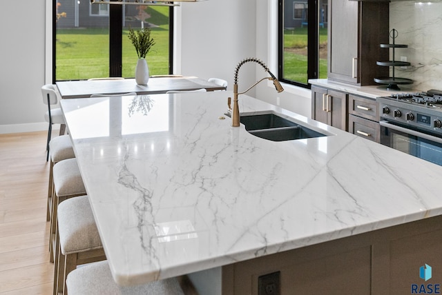 kitchen featuring light hardwood / wood-style floors, a center island with sink, sink, and light stone countertops