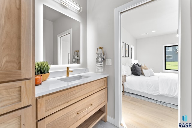 bathroom featuring wood-type flooring and vanity