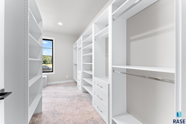 walk in closet with light carpet