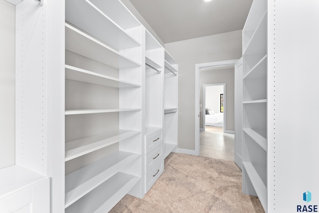 spacious closet with light carpet